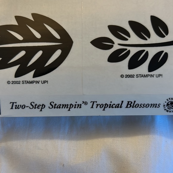 Tropical Blossoms stamp set - Picture 6 of 9